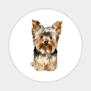 Happy Yorkshire Terrier Magnet